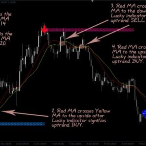 Reversal Indicator chỉ báo đỉnh đấy trong giao dịch forex