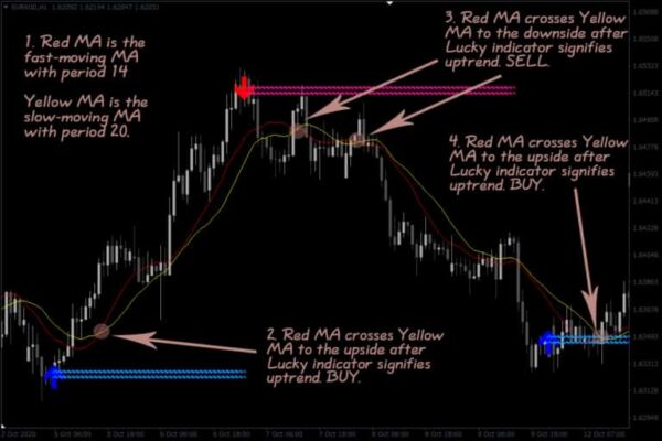 Reversal Indicator chỉ báo đỉnh đấy trong giao dịch forex